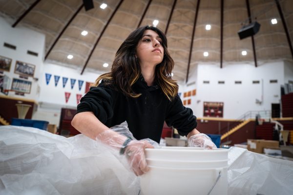 Lincoln Students Celebrate Community Service Week